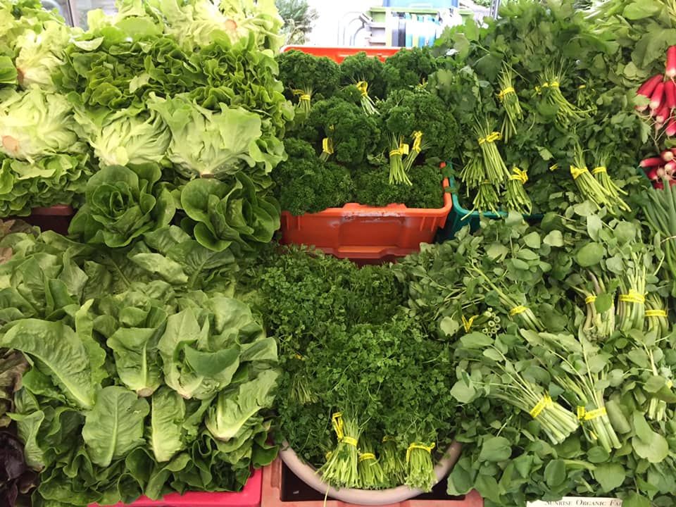 SVC1 Organic Vegetables